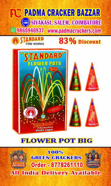 FLOWERPOT BIG (10PC)