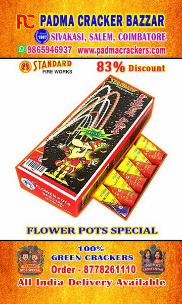 FLOWERPOT SPECIAL(10PC)