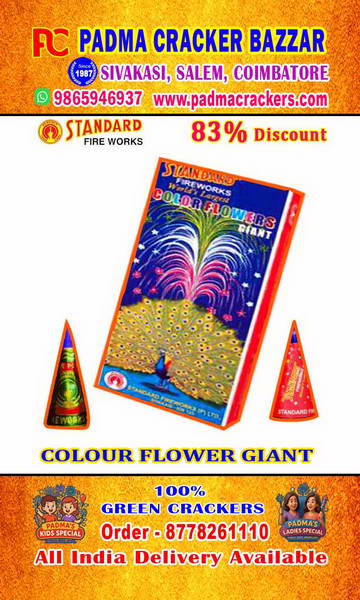 FLOWERPOT GIANT(10PC)