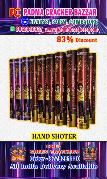 10 BULLETS HAND SHOOTER