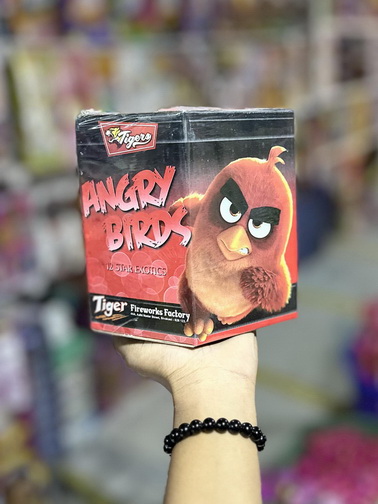 ANGRY BIRD