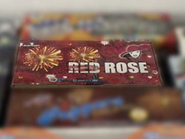 RED ROSE - 10 TIMES MEGA DISPLAY
