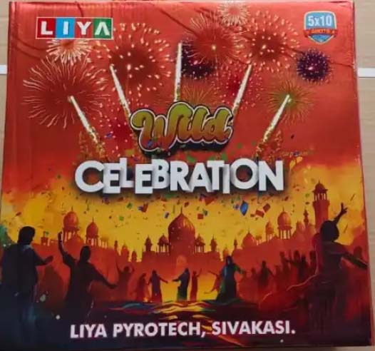 5*5 WILD CELEBRATION